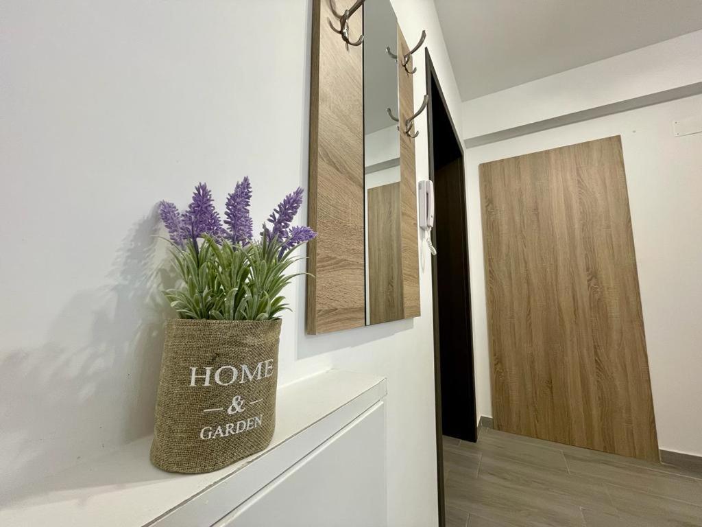 Belvedere Apartments Bucharest Luaran gambar