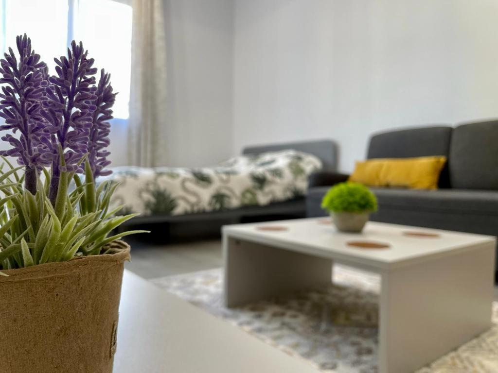 Belvedere Apartments Bucharest Luaran gambar